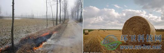 目前，我國各類秸稈年產(chǎn)量約為10億噸